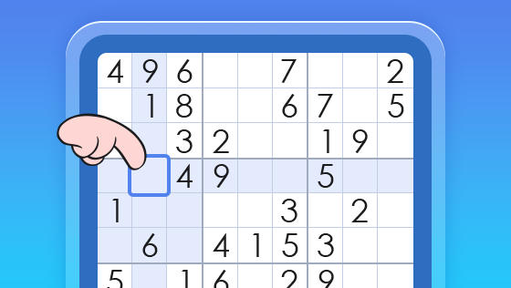 ds sudoku